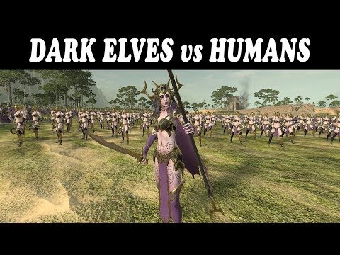 (Total War: WARHAMMER 2 cinematic battle) DARK ELVES vs HUMANS