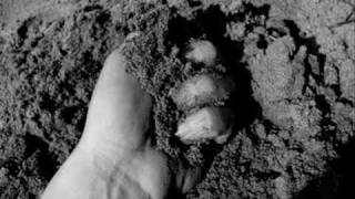 Ricardo Arjona AMARTE A TI