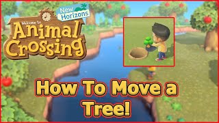 How To Move A Tree! - Animal Crossing: New Horizons Tips and Tricks