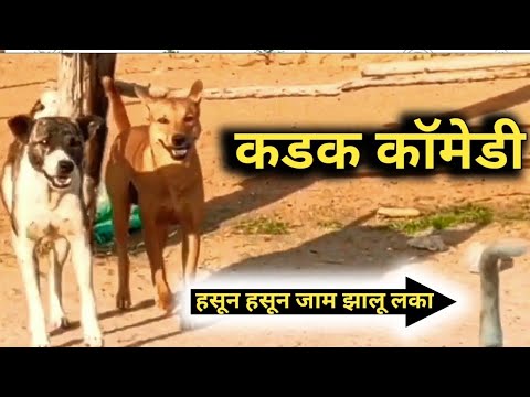 घरी या घरी, गुलब्या व शिरप्याची खतरनाक कॉमेडी.#laxmikantbhise #comedy