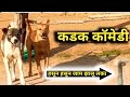 घरी या घरी गुलब्या व शिरप्याची खतरनाक 
