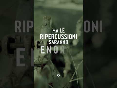 Vimeo