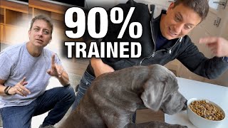 How To Get Your Canine 90% Educated with This ONE EASY Ability