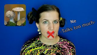 Your MIND in a CONVERSATION (Myers Briggs Personality Types)