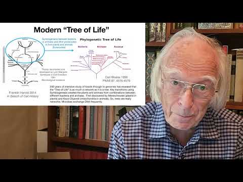 Fusion of organisms was the greatest transition in evolution