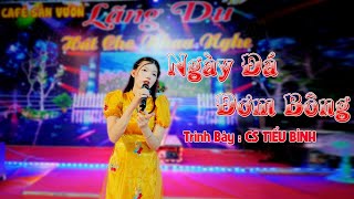 NGÀY ĐÁ ĐƠM BÔNG - COVER, TIỂU BÌNH - ST, Trịnh Lâm Ngân nhạc bolero