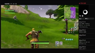 【Fortnite】そのクワ、武器につき注意。