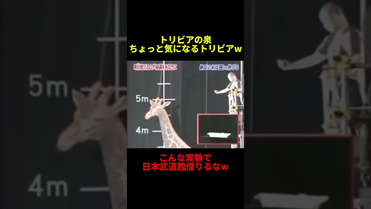 ただ納豆伸ばすだけでこんなに面白くできるのすげぇw #shorts #tv #tiktok #面白い #バズれ #トリビアの泉 #切り抜き