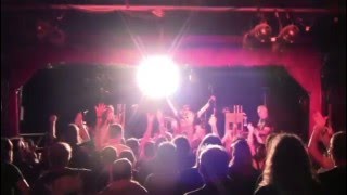 Buffalo (Revisited)Pound of flesh, Shylock-The Zoo Brisbane