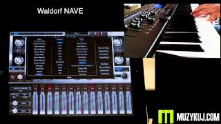 Video thumbnail for Waldorf Nave by muzykujkropkacom