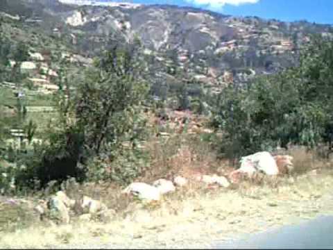 HOMENAJE A PAPA - ROY Y LOS GENTILES