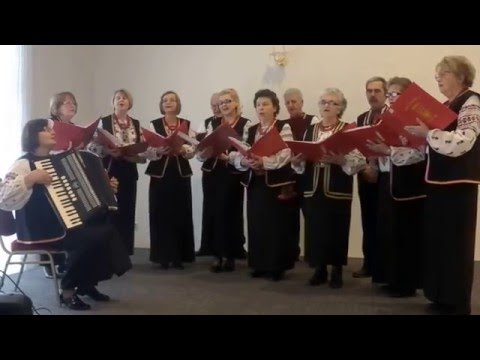 Na nebi zirka jasna zasjala