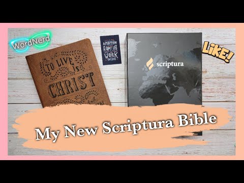 My New Bible | Scriptura Bible Review