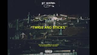 Twigs and Sticks Music Video