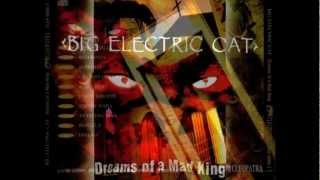 BIG ELECTRIC CAT - Rebecca