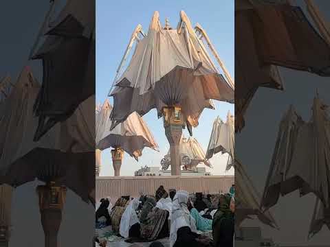 Madina🫀#rozarasool  #naatsharif #freepalestine