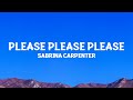 Sabrinacarpenter Please Please Please Lyrics