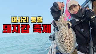 첫 합방 동출에 돼지갑이 미쳤습니다🫢ㅣ대사리 출조의 결말은? 🦑ㅣ 구매항 레드맨호 🛥️ㅣ 갑오징어 낚시