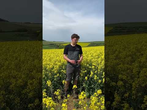 sgl on tour - sgl universial im Raps