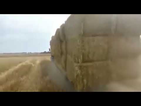 motto van kees kroon waarland