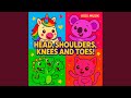 Head Shoulders Knees And Toes Jazzed Up Kids Pop
