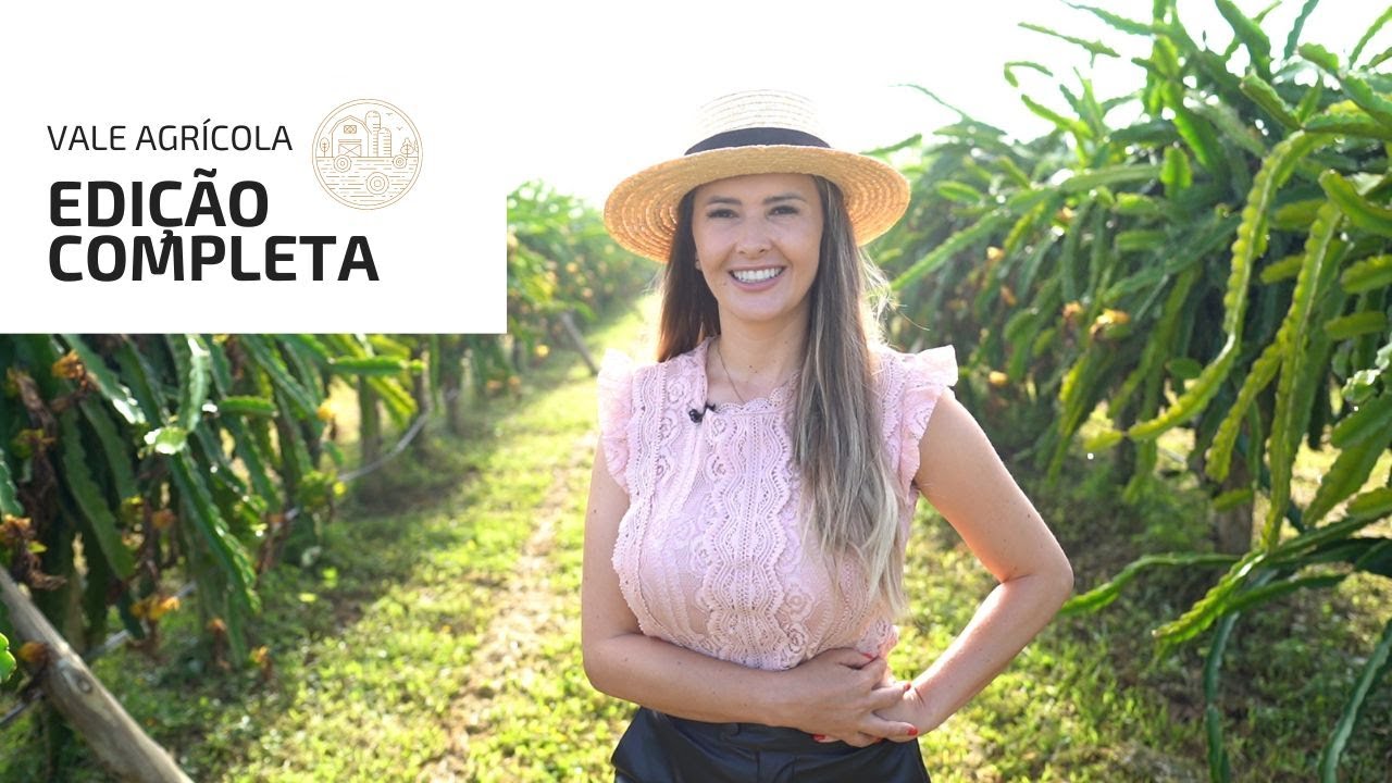 VALE AGRICOLA 302 (03/02/2024)