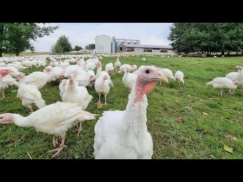 TAGWERK Einblicke - Wallner's Bioputen