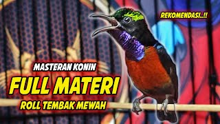 Download lagu MASTERAN KOLIBRI NINJA GACOR FULL ISIAN ROLL TEMBAK MEWAH !! PANCINGAN KONIN BAHAN TEMBAKAN SULTAN mp3