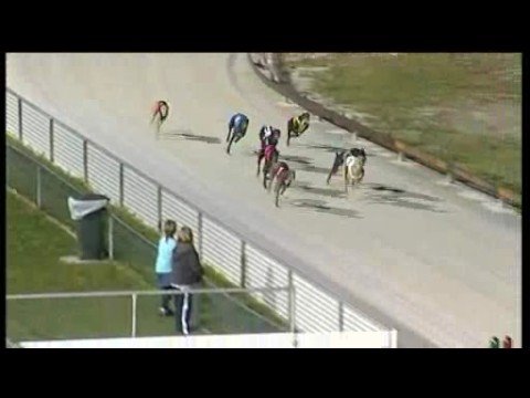 Greyhound Racing -Vixeys 2nd start 405m g1/2