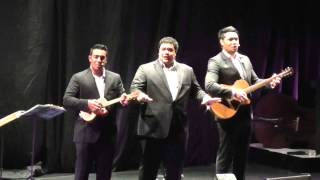 Sol3 Mio - Yellow Bird (Birmingham 11.12.14)