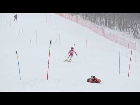 190118 Pico SL R2 OP