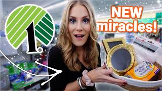 NEWEST Dollar Tree ORGANIZATION! 🔥 Laundry Room Miracles! ✨