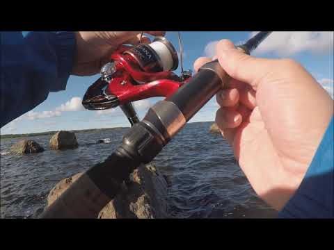 Markus Kalassa - Merikalastus 2018 Neljä haukea kymmenessä minuutissa