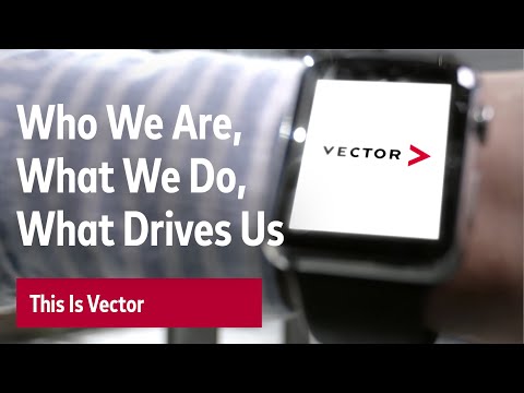 This is Vector
