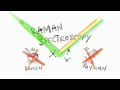 An introduction to Raman Spectroscopy