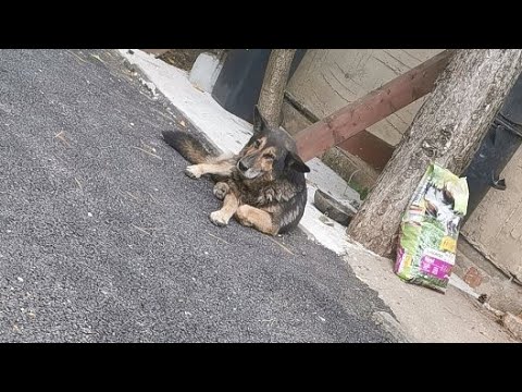 Bmw n47 Miert nem indul miután lancot csereltél....