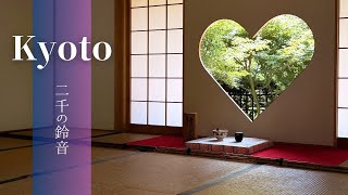 正寿院 二千の風鈴と涼む夏 Kyoto Shouju-in / 2,000 wind chimes, a Gentle Summer