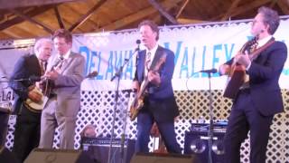 Doggone - Hot Rize - Delaware Valley Bluegrass Festival 2015