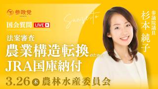 【国会中継】13:20~「法案審査：農業構造転換のためのJRA国庫納付」 参議院議員 杉本純子 国会質疑 令和8年3月26日 参政党