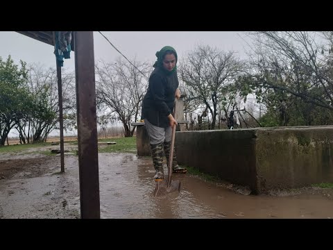 Village life in Iran/Picking oranges🍊 on a rainy day & baking a delicious orange cake🥮