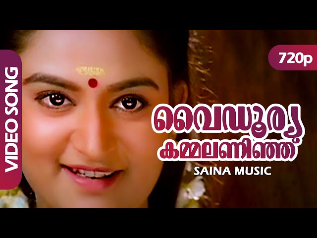 Vaidooryakkammalaninju