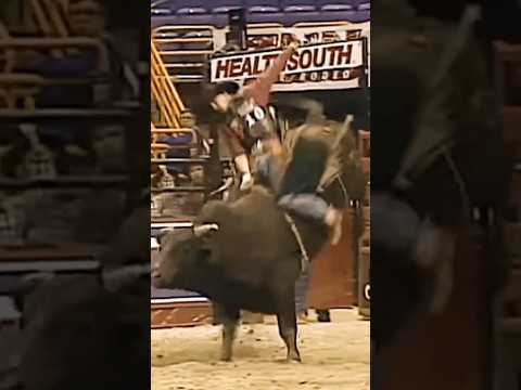 🇺🇲 Reed Corder 🆚 Gusto - 99 PBR St. Louis (92.5 pts) #shorts #agro #sports #rodeo