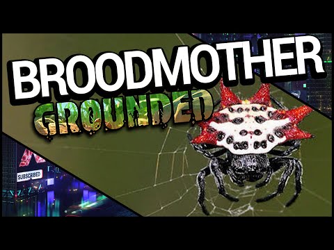 Grounded BROODMOTHER Spider in REAL LIFE | Raw Science Facts