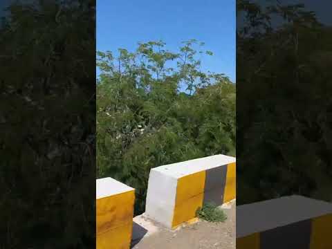 One Dollar Beach, Dili- Timor-Leste 🇹🇱⛱️ #Tourismtimorleste #easttimor