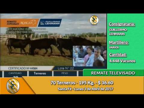03-04-17 - Venda de Invernada - Remate Televisado Guillermo Lehmann - Santa Fé
