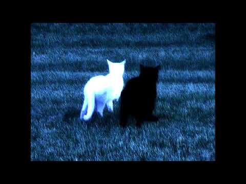 (FREE FOR PROFIT) post punk x alternative rock type beat "miss u"