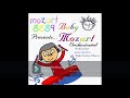 Baby Einstein Baby Mozart Orchestrated Fan Made Baby Einstein CD