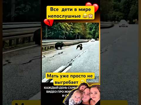 И пусть весь мир подождёт😂Как я её понимаю,в одиночку ращу троих+мини зоопарк🤪 #дети #прикол #мило