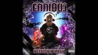 Download lagu Canibus Feat  D12 & DZK 'Air Strike' mp3