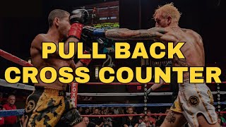 Pull Counter Like a Pro: Mayweather's Technique Revealed
